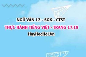 Soạn bài Thực hành Tiếng Việt trang 17, 18 Ngữ văn 12 Chân trời sáng tạo